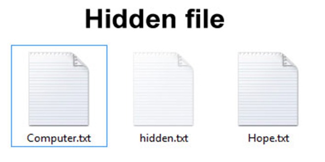 Come Visualizzare file nascosti su windows