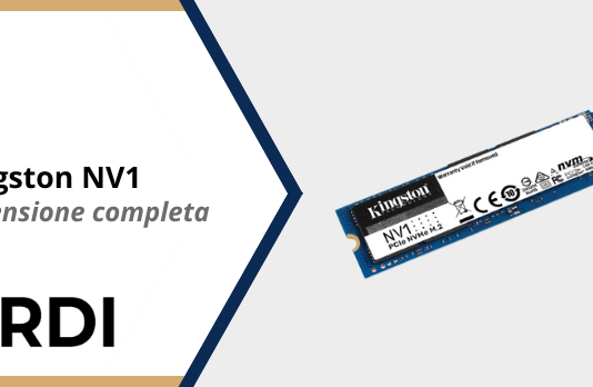 Kingston NV1 - Recensione completa