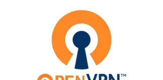 Cos'è OpenVPN?